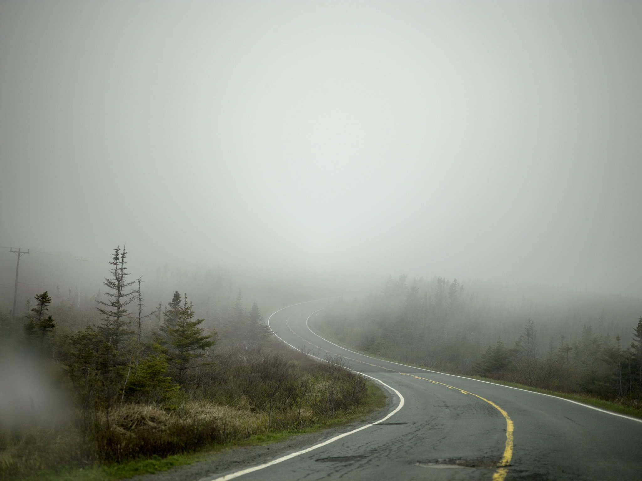 Read more about the article Understanding Fog or Mist nyt, Insights from The New York Times