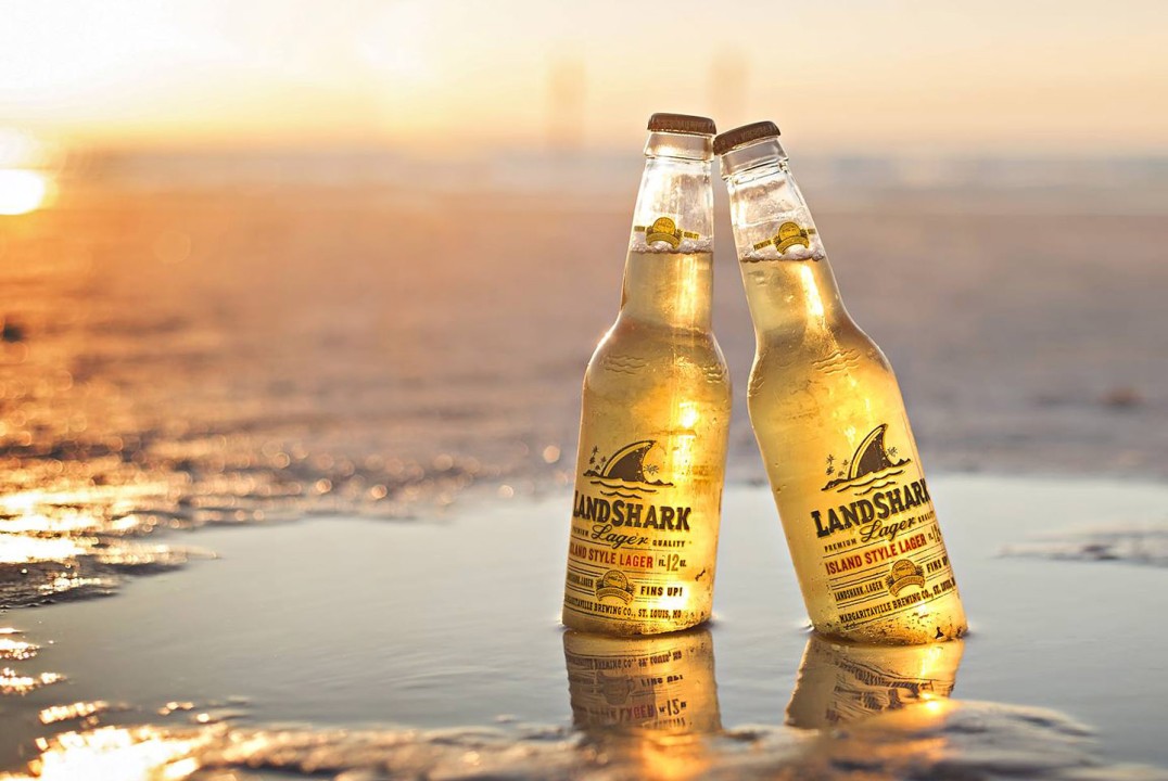 Read more about the article Side Effects of Drinking Landshark Beer